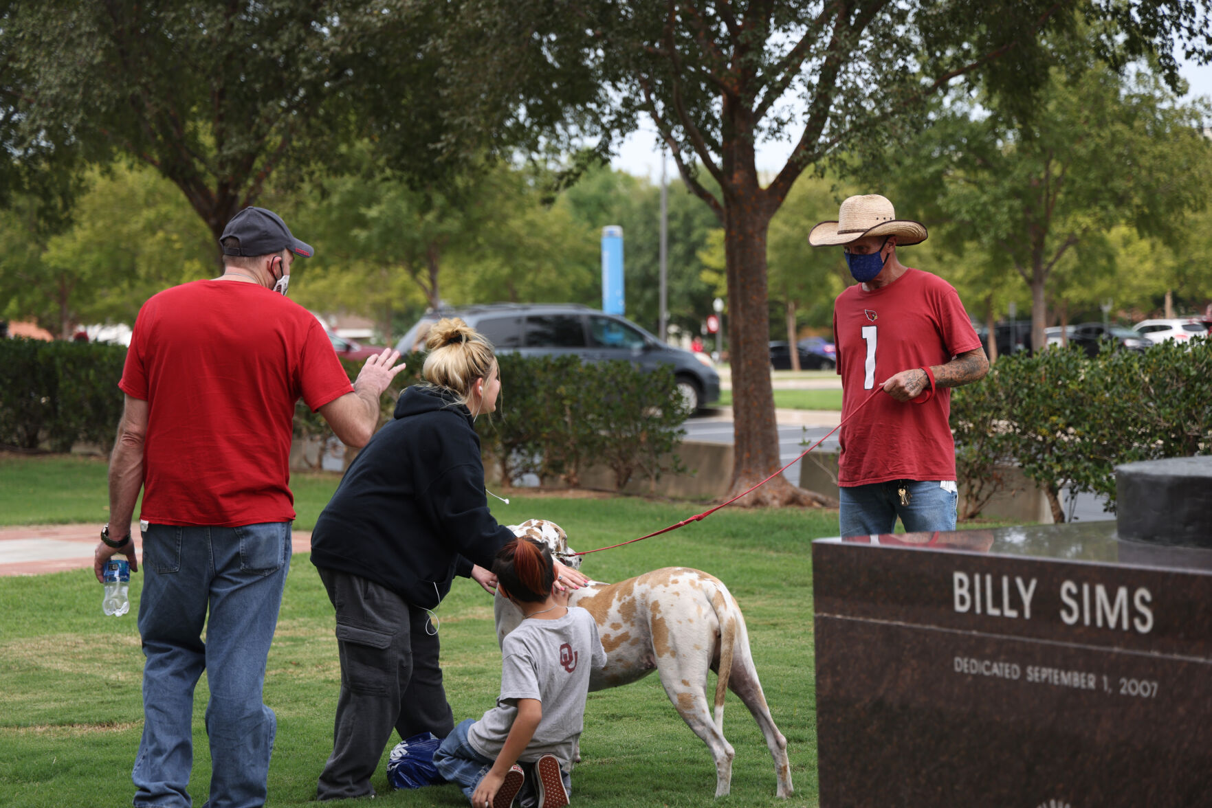 Dog petting